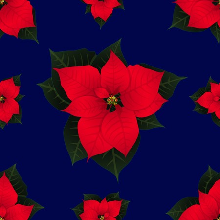 450x450 Red Poinsettia On Navy Blue Background Vector Illustration