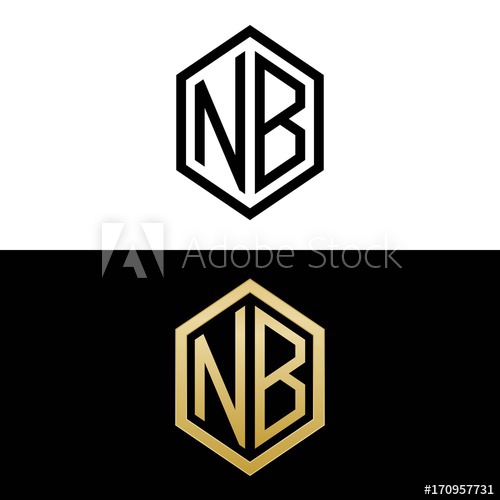 500x500 Initial Letters Logo Nb Black And Gold Monogram Hexagon Shape