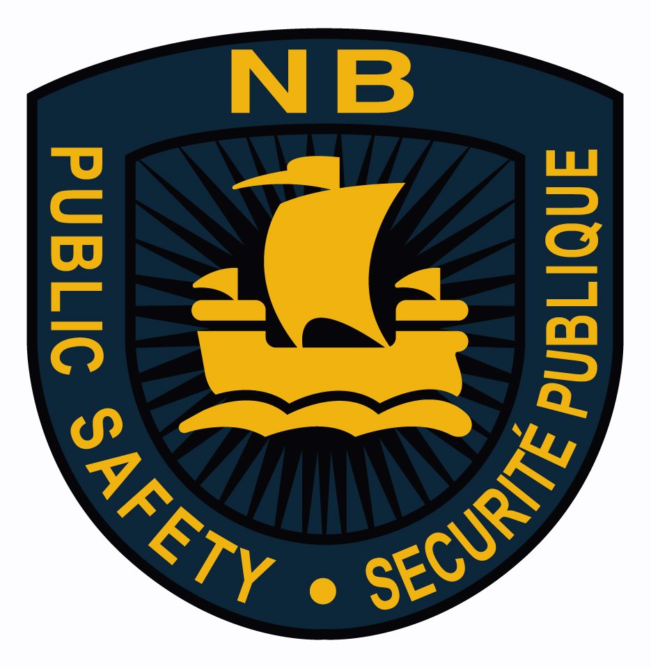 935x960 Evikreative Ps Nb Logo Vector