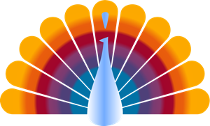 300x181 Nbc Logo Vector