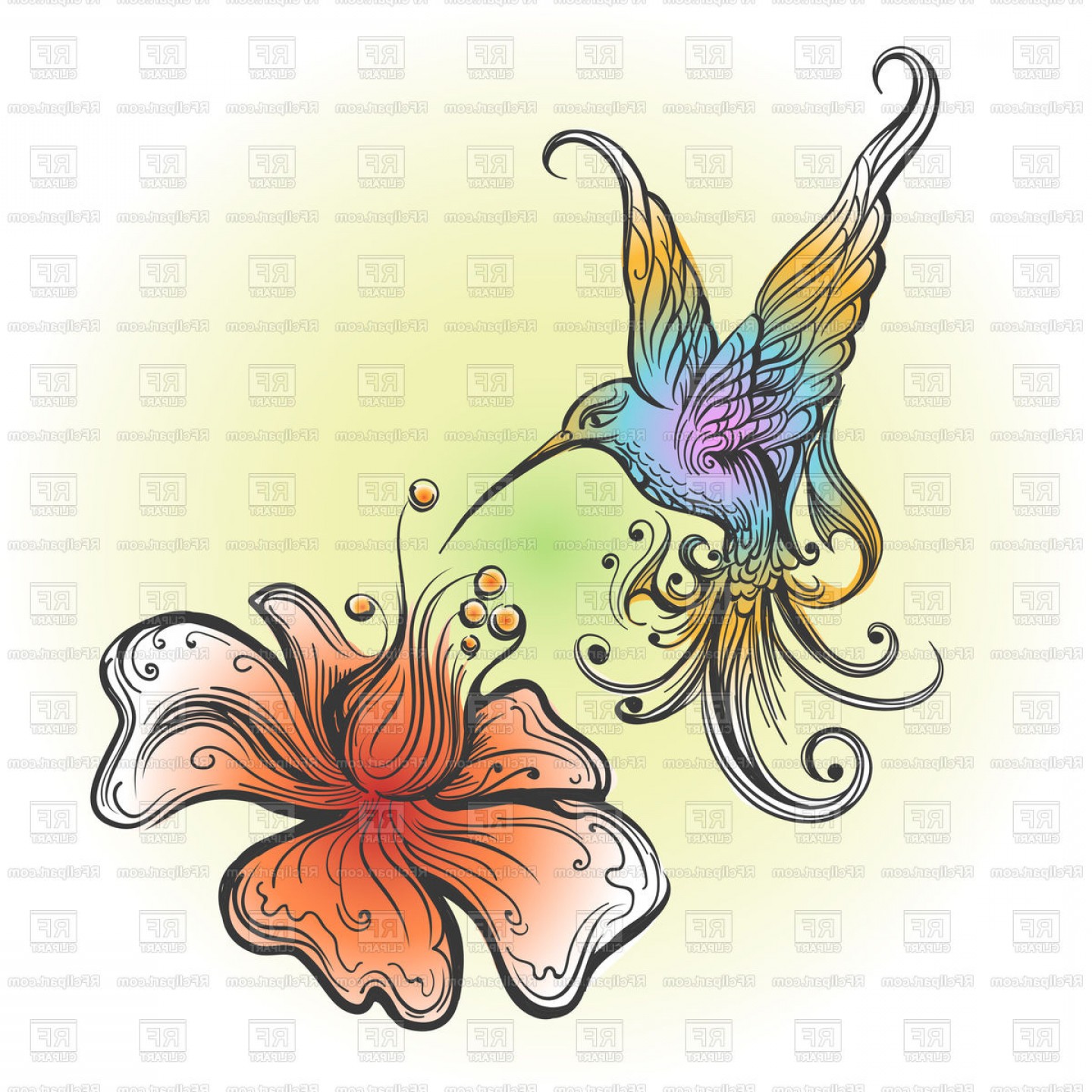 1440x1440 Flying Hummingbird Sipping Nectar From Flower Vector Clipart