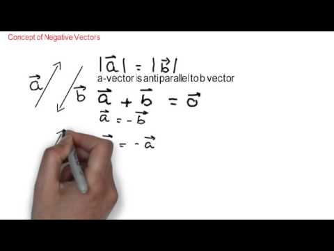 480x360 Negative Vector