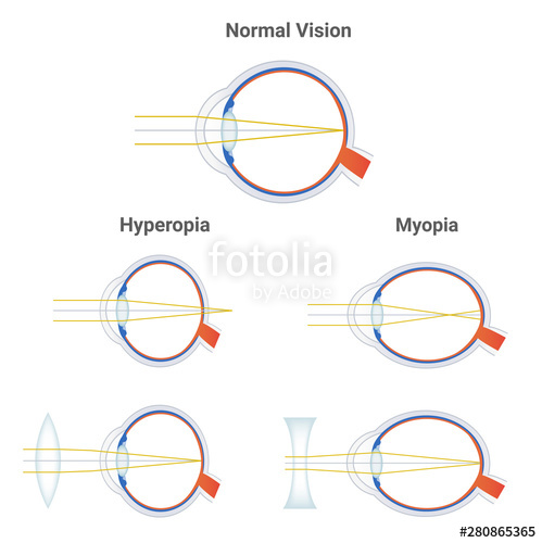 Negative Vector Eye at Vectorified.com | Collection of Negative Vector ...