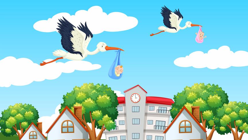865x490 Birds Delivering Babies In The Neighbor Vector