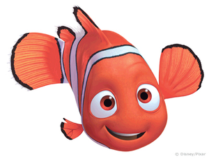 Nemo Free Images 300x228 Nemo Free Images