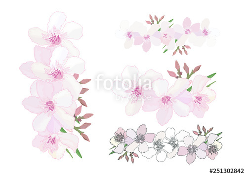500x357 Set Of Floral Brushes With Delicate Pink And Blooming Flowers