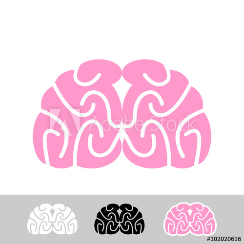 500x500 Brain Flat Bran Human Brain Main Organ Of Central Nerv