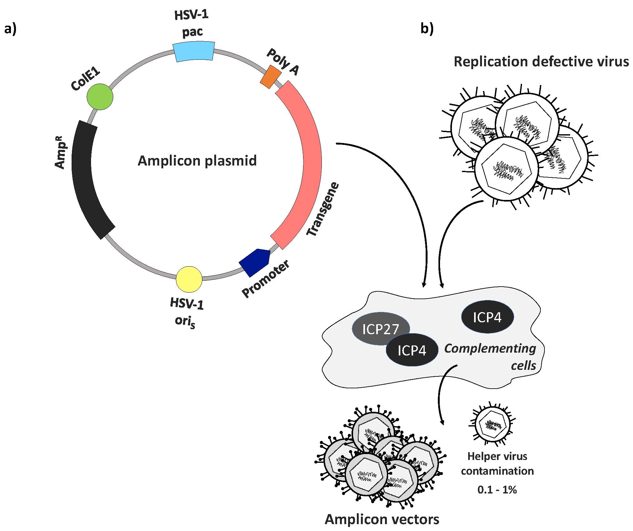 Diseases Free Full Text Herpes Simplex Virus Vectors For Gene 2024x1697 Diseases Free Full Text Herpes Simplex Virus Vectors For Gene