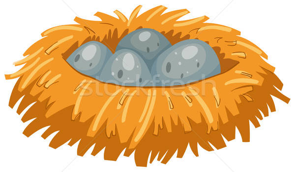 600x349 Four Gray Eggs In Bird Nest Vector Illustration Daniel Cole