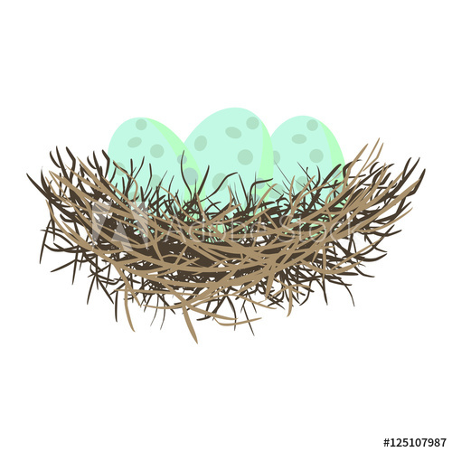 500x500 Green Wild Eggs In Bird Nest Vector Illustration