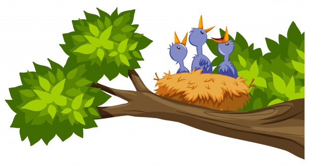 626x334 Nest Vectors, Photos And Free Download