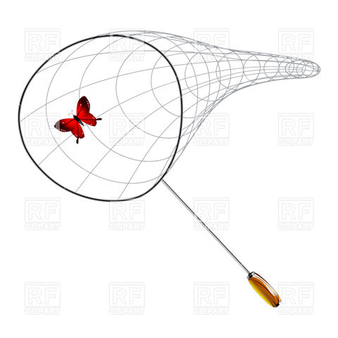 480x480 Butterfly Net Vector Image Of Objects Robertosch