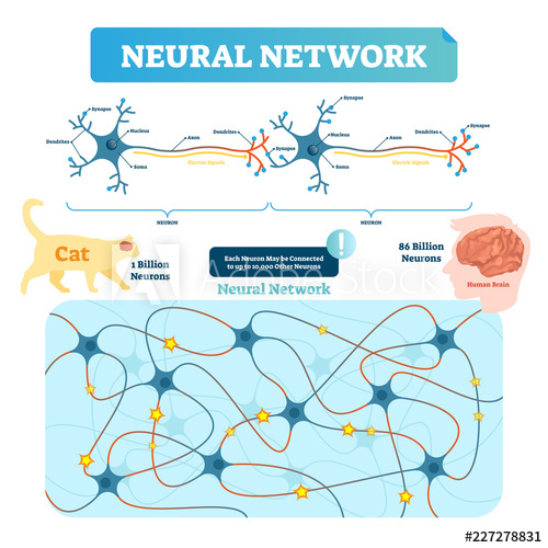 Neural Network Vector Illustration Neuron Structure And Net 500x500 Neural Network Vector Illustration Neuron Structure And Net