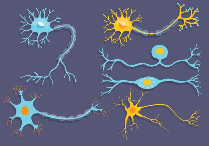 Download Vector 700x490 Download Vector