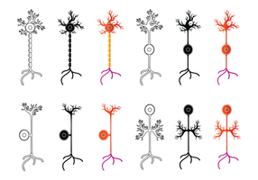 Neuron Free Vector Art 286x200 Neuron Free Vector Art