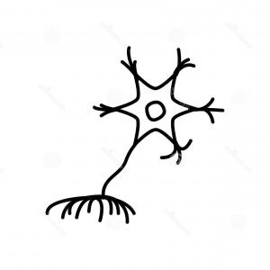 Neuron Icon Vector Illustration Neuron Icon Vector Illustration 300x300 Neuron Icon Vector Illustration Neuron Icon Vector Illustration