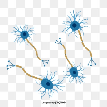 Neuron Png, Vector, And Clipart With Transparent Background 360x360 Neuron Png, Vector, And Clipart With Transparent Background
