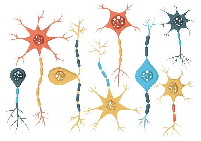 Neuron Vector 700x490 Neuron Vector