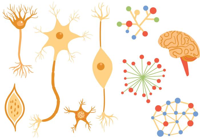 Free Neuron Vectors 700x490 Free Neuron Vectors