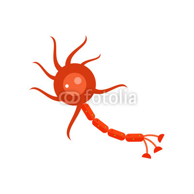 Neuron Vector Icon Ethnie Wall Mural Vegetable Wallpaper Murals 400x400 Neuron Vector Icon Ethnie Wall Mural Vegetable Wallpaper Murals