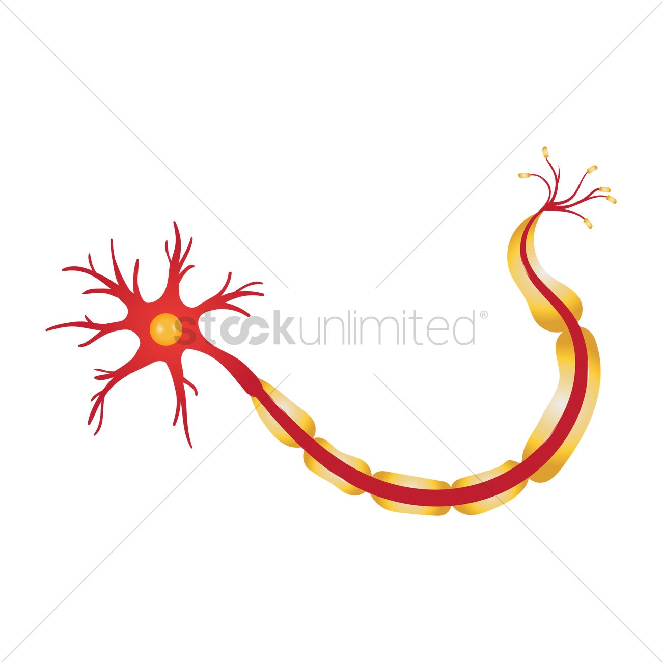 Neuron Vector Image 1300x1300 Neuron Vector Image