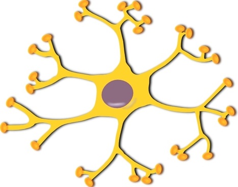 Neuron Free Vector Download 467x368 Neuron Free Vector Download
