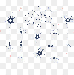 Human Neuron Png Images Vectors And Free Download 260x261 Human Neuron Png Images Vectors And Free Download