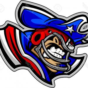 300x300 New England Patriots Fathead Team Helmet Logo Official Nfl Vinyl