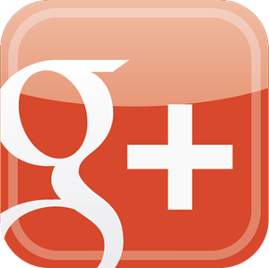 300x299 Google Google Plus Logo Vector