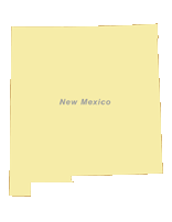 156x202 Free Digital New Mexico Outline Blank Map