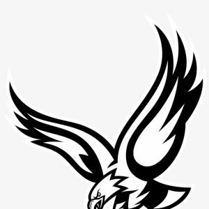 300x300 New Orleans Saints Loyalty In My Dna Newwaysys