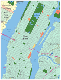 200x259 New York Digital Vector Maps