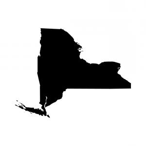 New York Map Vector at Vectorified.com | Collection of New York Map ...