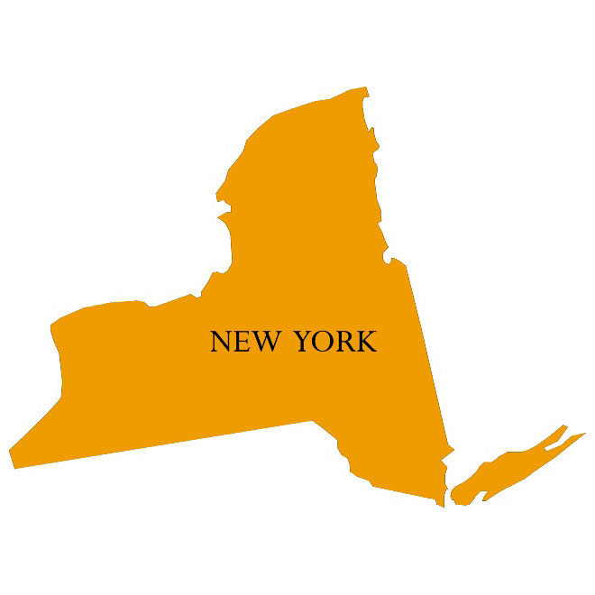 State Of New York Vector Map 660x660 State Of New York Vector Map