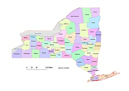 255x180 Preview Of New York County Vector Map, Colored