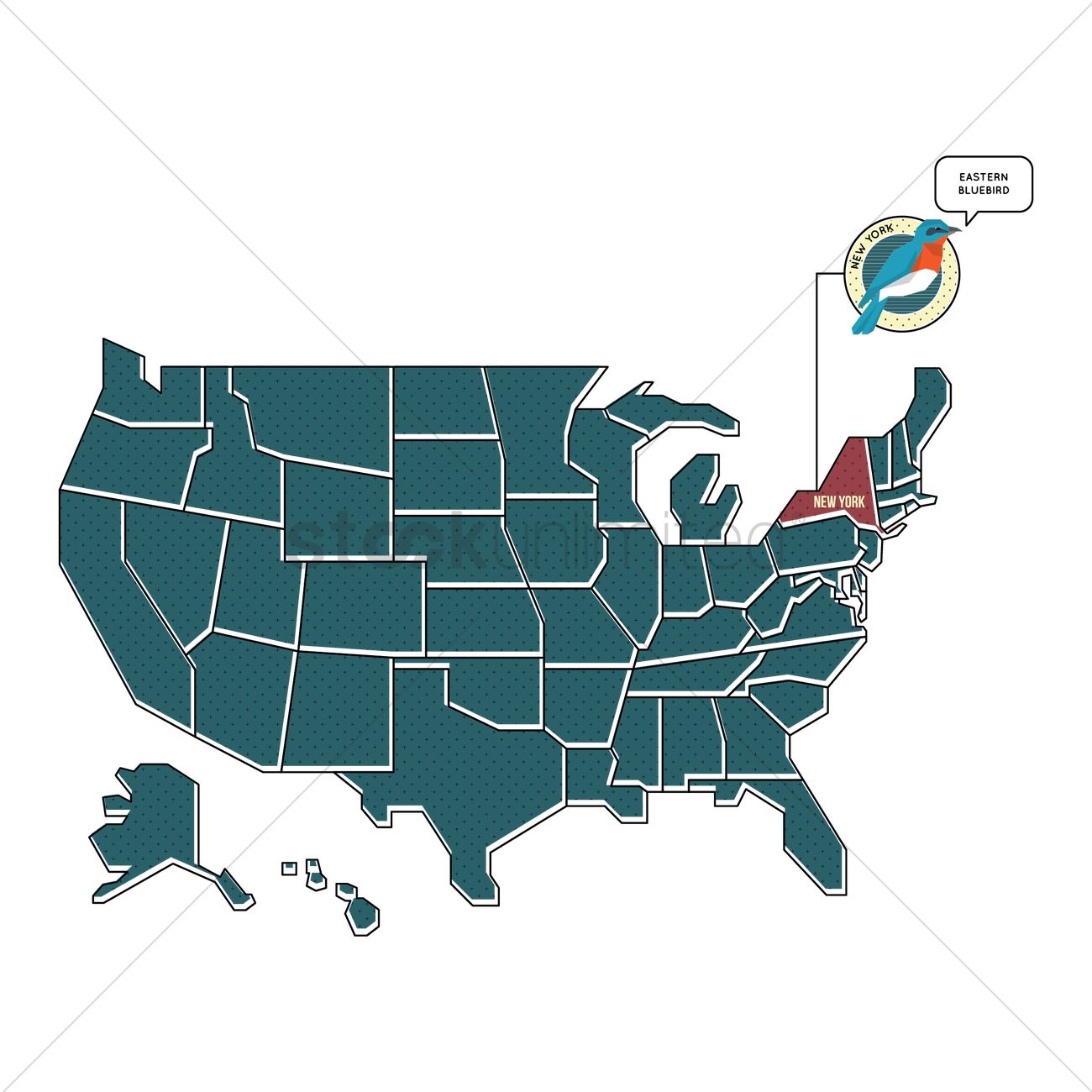 1300x1300 Us Map With New York State Bird Vector Image