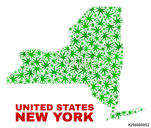 500x427 Vector Marijuana New York State Map Mosaic Concept With Green