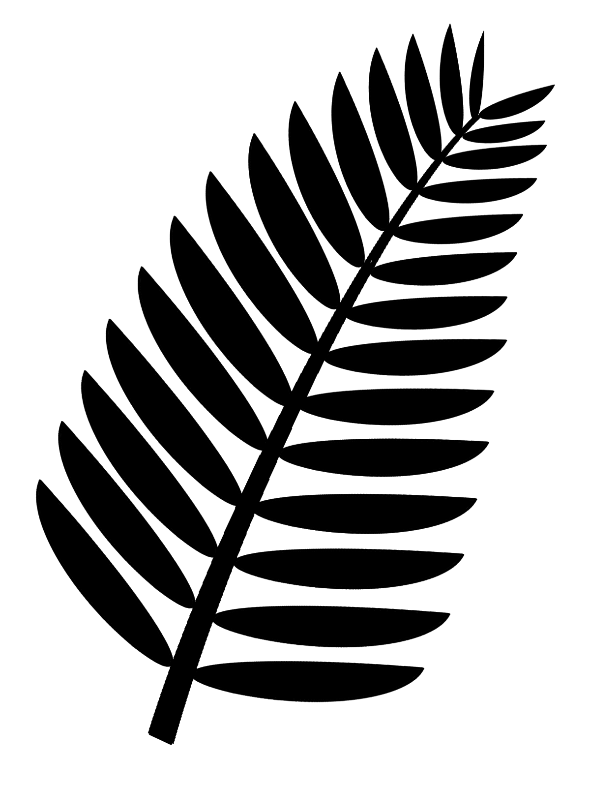 1200x1600 Palm Frond Clip Art Free Transparent Background This Is A More