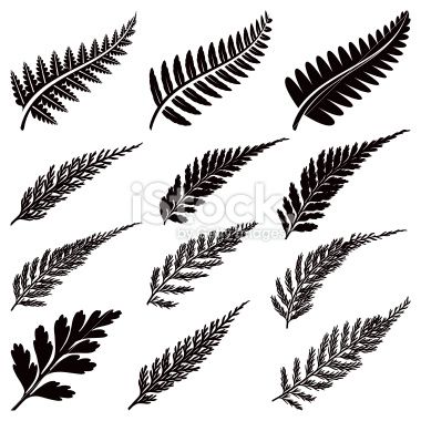 380x380 Series Of Black Ferns With Different Shaped Leaves Design Ideas