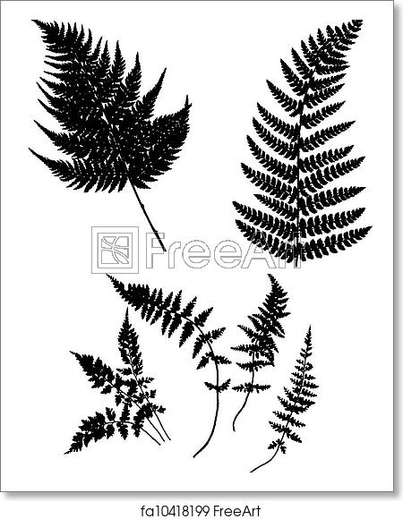 450x580 Free Art Print Of Vector Silhouette Fern Vector Silhouette Fern