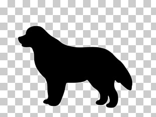 Newfoundland Dog Vector