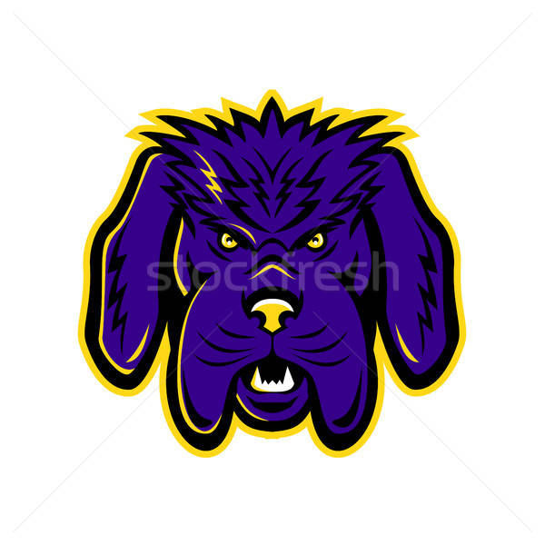 600x600 Newfoundland Dog Mascot Angry Vector Illustration Aloysius