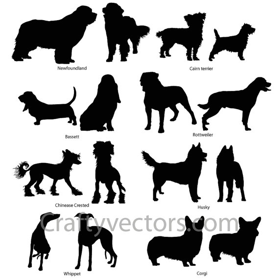 570x570 Newfoundland Dog Silhouette Template
