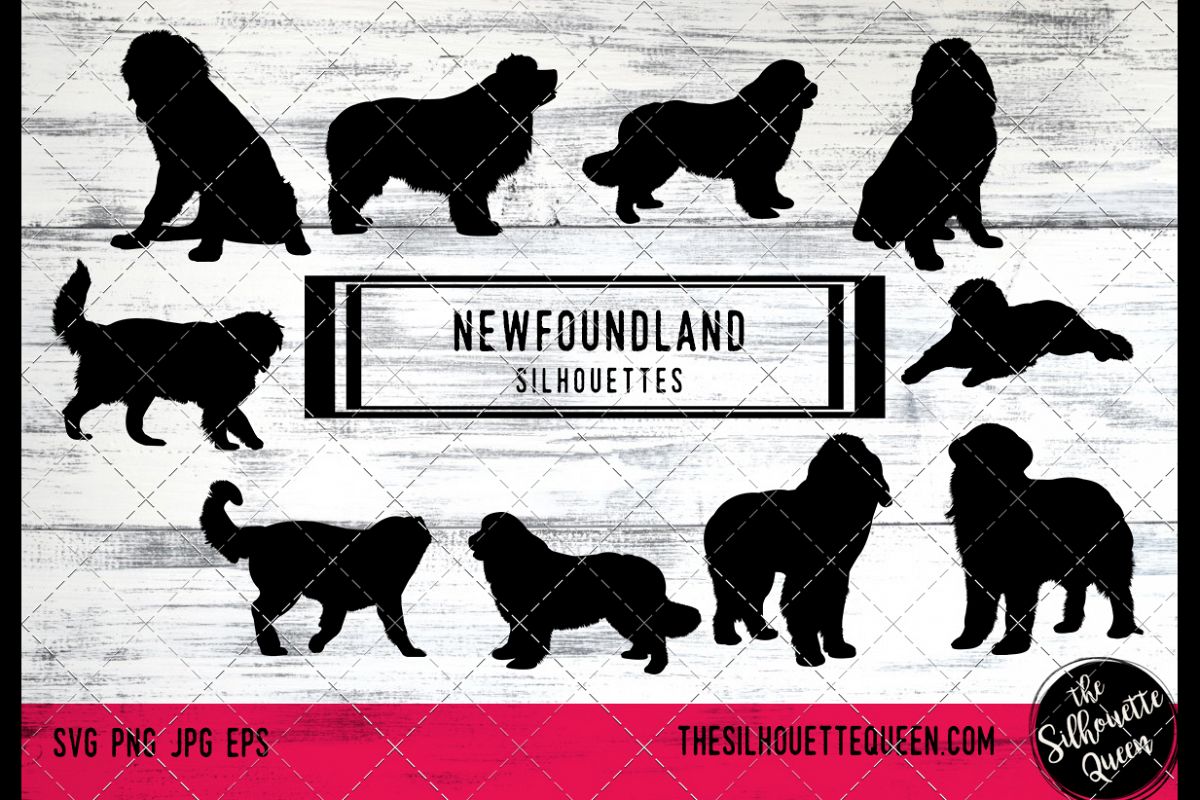 1200x800 Newfoundland Dog Cricut, Silhouette Clip Art, Vect