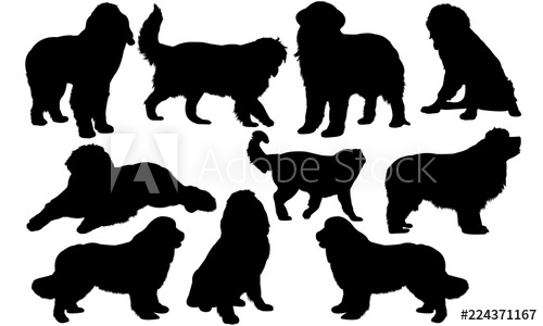 500x300 Newfoundland Dog Cricut, Silhouette Clip Art, Vector