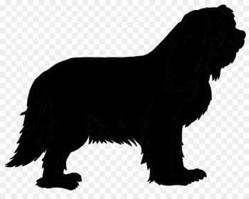 350x280 Newfoundland Dog