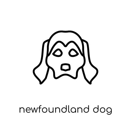 450x450 Newfoundland Dog Icon Trendy Modern Flat Linear Vector