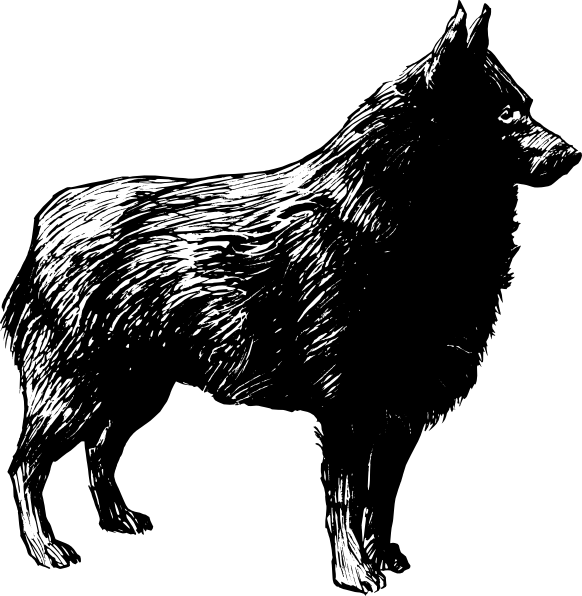 582x596 Newfoundland Dog Png Freeuse Stock Png Files, Free Clip Art