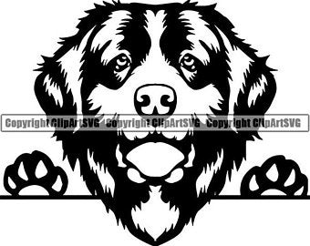 340x270 Newfoundland Dog Etsy