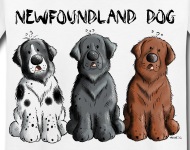 190x150 Three Newfoundland Dogs
